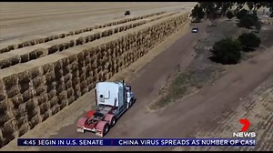 15K views · 559 reactions | There is nothing more Australian than helping a mate in trouble. And this Australia Day, we will see an extraordinary example of that. Victorian farmers will deliver a giant mountain of hay to help drought-stricken farmers in New South Wales. www.7NEWS.com.au #7NEWS | 7NEWS Brisbane | Facebook