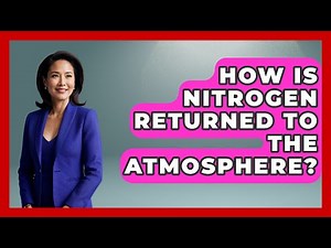 How Is Nitrogen Returned To The Atmosphere? - Earth Science Answers