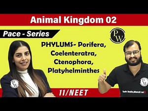 Animal Kingdom 02 | PHYLUMS - Porifera, Coelenteratra, Ctenophora, Platyhelminthes | Class 11 | NEET