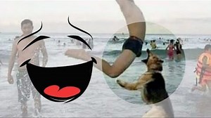 Super 2019 Yigma Prikollar #12 / Prikol video compilation funny videos / perezaliv video