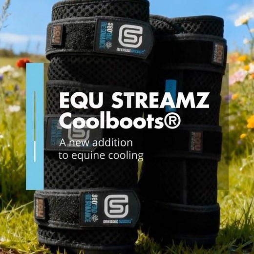 EQU StreamZ Coolboots Explained | The Ultimate Cooling Boots for Horses (No Ice Required)
