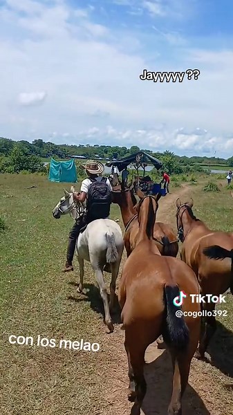 Videos de cogollo (@cogollo392) con “Maria Palito - Banda 19 de Marzo de Laguneta”