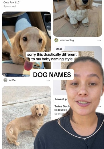 Cute Dog Names for Your Dachshund