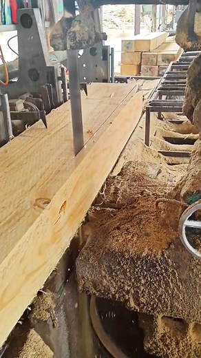 Wood processing #timbercraft #wooden #wood #woodworking #handmade #woodwork #carpentry #reclaimedwood #carpenter #woodworker #processing #woodturning #woodshop #woodart #wooddesign #woodcraft | TimberCraft