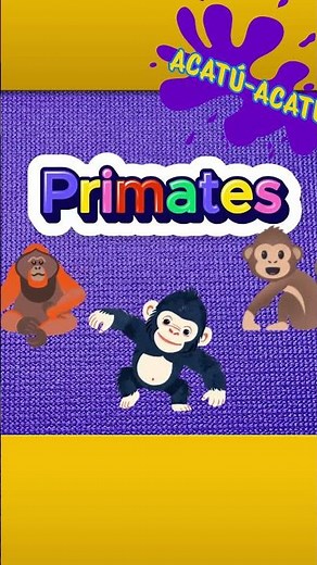 Mammals - The Monkey - Animals for Children - #children #kids #monkey #monkeys