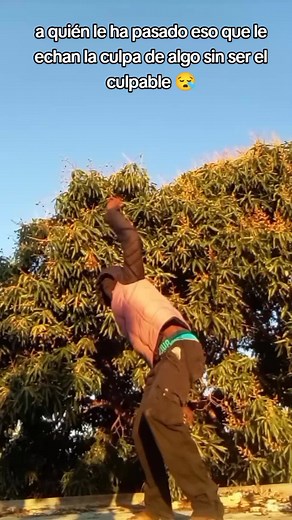 Exploring the Drill Dance Phenomenon