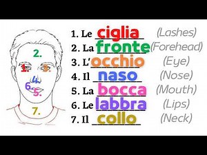 Italian grammar essentials | Sentence structure | Practical exercises | Learn italian free lessons