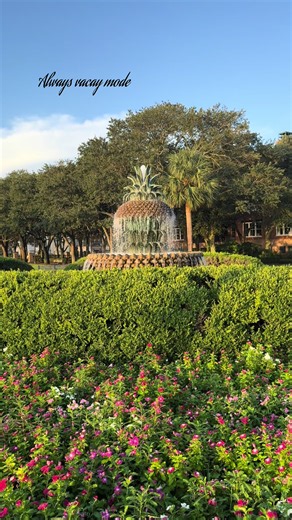 Always vacay mood in Charleston,SC 💖💖💖 #trabelblogger #charleston #charlestondaily #vacations
