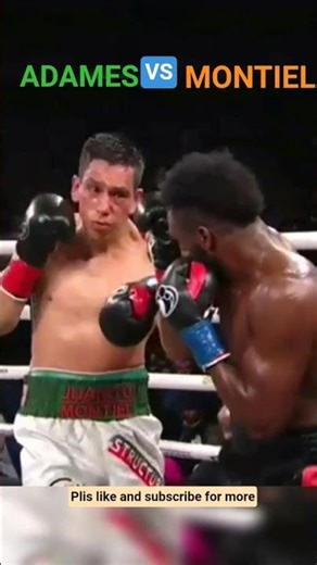 Carlos Adames (DOM) VS Juan Montiel (MEX) -Lo mas Destacado #Boxeo #Ko #Combate #Fights #Deportes