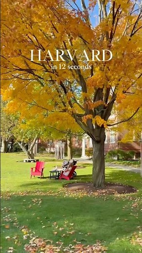 A quick peek at life on campus #Harvard #HarvardUniversity