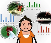 Decoding Auditory Imagery with Multivoxel Pattern Analysis