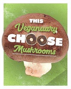 Beat the January blues with mushrooms 🙌 Whether you're starting #Veganuary or just want to eat healthier in 2023, we’ve got just the thing… Check out our recipe page to discover your new favourite mushroom dish: https://www.madewithmushrooms.com/recipes/ | Make it a Mushroom Moment