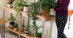 DECORAR CON PLANTAS DE INTERIOR: CÓMO COLOCAR LAS PLANTAS EN UNA MESA
