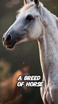 Ancient and Asiatic Breed 🫢 #shorts