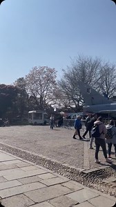 129 reactions · 26 shares | The RAF has landed in Exeter! Cathedral Green has been brought to life with adventure, excitement, and hands-on activities for all ages. The star of the show has been the model Typhoon parked on the West Front, with crowds queuing up for a chance to sit in the cockpit! If you missed out today then don’t worry - the fun continues tomorrow! #ExeterCathedral #YourCathedral #RAF #spring #familyfun @royalairforceuk | Exeter Cathedral | Facebook