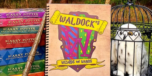 Harry Potter Homeschooling with Waldock’s Wizards And Wands - Raising Lifelong Learners