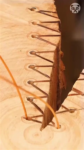 Seu Josué Ganha um Carro Novinho! Entenda a História