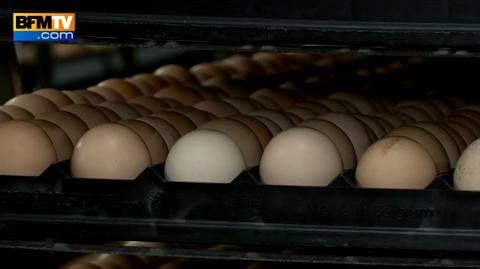 Dash, le régime dont on parle