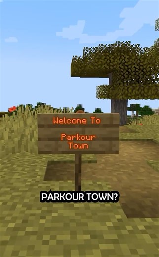 I Fixed Minecraft’s Villages’ Worst Problem