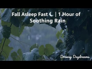 1 Hour of Gentle Rain for Sleep | Relaxing ASMR Sounds to Fall Asleep Fast