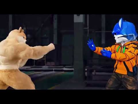 Toshi vs Shiba Inu fight