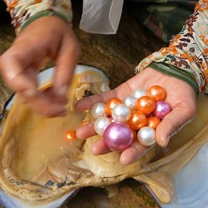😱😱Pry open the giant purple clam, which is pregnant with precious purple pearls, extremely charming | Chichaitos Moroveños