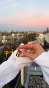 Lily Flower meets Amsterdam sunset ✨ | Button Amsterdam