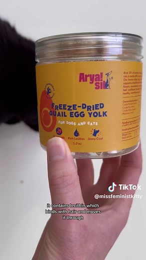 Cat Health Tips: Best Hairball Remedies for Cats