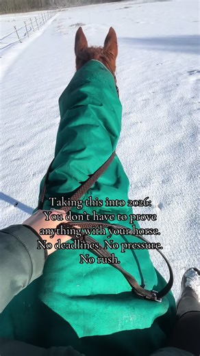 If 2025 has taught me anything, it’s this! A combination of vet bills and poor weather (either too hot or too cold) meant limited riding this year. Tigger lives out, and we have no electricity or ménage - just one we can hack to - so most of our riding is hacking. I’d hoped to do more this year, including getting a trailer and taking him out jumping, but that didn’t happen because of said vet bills. And although it feels like it at times, you don’t HAVE to do anything with your horse. You have n