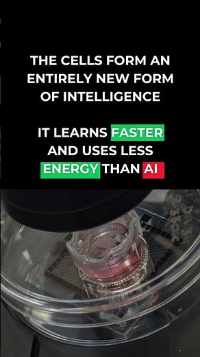 The World's First Biological Computer is Here! #biologicalcomputer
