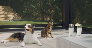 85 reactions · 27 shares | One touch is all it takes to keep the insects out with exterior screens powered by a Somfy motor. Happify your home. | Somfy | Facebook