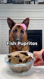29K views · 21 reactions |  Comment “fish” to get the full recipe!  If your dogs love fish, you have to make this Fishy Pupritos for me. I’ll show you how I turn canned sardines into these crunchy fish chips for Rambo. Made with only 3 ingredients, they’re packed with omega-3 and fiber. Great for skin & coat and joint health. #baking #sardines #cookingfordogs #fishchips #dogfoodie #homemadedogtreats | Meet The Chows | Facebook