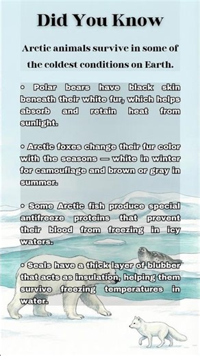 Arctic Animals That Survive Extreme Cold ❄️ | Did You Know?