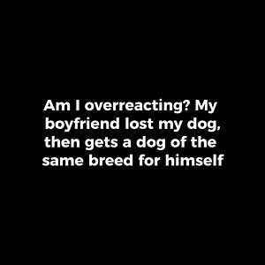 54K views · 496 reactions | My boyfriend lost my dog, then gets a dog of the same breed for himself | Storytime Reddit | Facebook