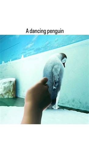 Rash on Instagram: "📺 Animated Movie: Happy Feet (2006) Set in Antarctica, Happy Feet follows Mumble, a penguin who can’t sing like the others but has a gift for tap dancing. Facing ridicule and doubt, Mumble embarks on a journey to find his place while discovering the power of being yourself. The film blends music, humor, adventure, and environmental messages, celebrating individuality, courage, and friendship. #HappyFeet #AnimatedMovie #Penguins #MusicAndDance 📺🐧✨"