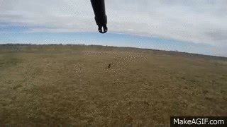 2014 Winter Helicopter Pig Hunt Hearne, TX on Make a GIF