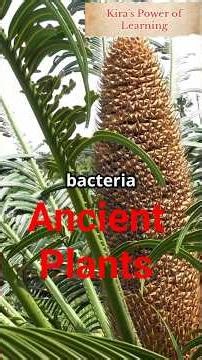 DINOSAUR PLANT survived the ASTEROID IMPACT (Paleocene Secret)#facts #prehistoric #prehistoriclife