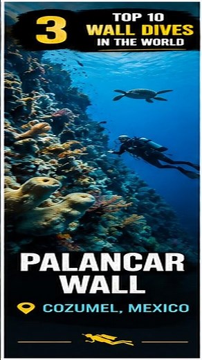 Palancar Wall, Cozumel | The Caribbean’s Ultimate Wall Dive?