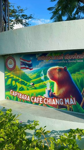 Welcome to Capybara Zen Resort & Spa Chiang Mai! 🌿✨ Open daily, we are your serene escape nestled among the lush rice fields of Chiang Mai’s countryside — a place where you can stay, relax, and reconnect with nature. Unwind in our comfortable rooms and suites, and share unforgettable moments with our friendly capybaras, meerkats, birds, and more. Savor delicious Thai and international dishes at our restaurant, and rejuvenate with our signature spa and wellness treatments designed to bring balan