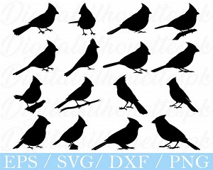 Cardinal Bird Svg, Cardinal Bird Silhouette, Dxf, Png - Etsy
