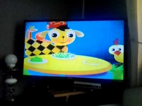 Goegos Focos Babytv