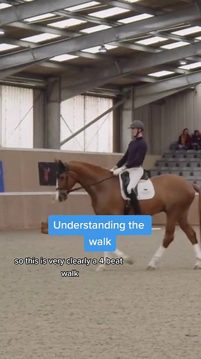 The perfect walk... 🤩 FEI 5* judge Isobel Wessels talks through what she looks for in a horse's walk. #dressageexercises #dressageoftiktok #youngdressagehorse #younghorses #BritishDressage #dressagetraining #dressagehorse #dressagerider #younghorsetraining #thewalk
