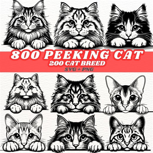 Peeking Cat Breeds SVG & PNG Bundle: 800  Cut Files (digital Download) - Etsy