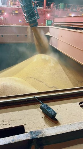 Embarque de soja. #101 #estivadobrasil #stevedore #lingsl #p3