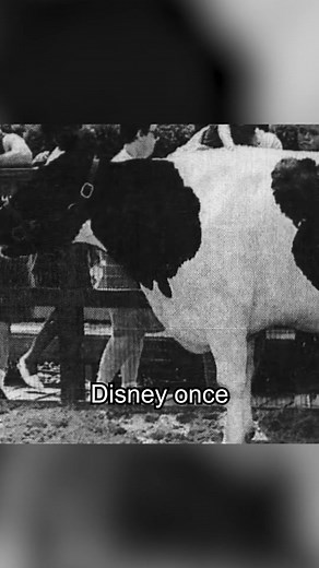 The Best Hidden Mickey at Disney World