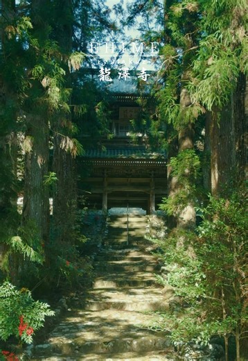 愛媛県西予市城川町 龍澤寺 #日本の風景 #愛媛 #自然界隈 #田舎の風景 #japan