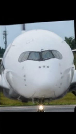 Airbus A350 Sings "MANIKE MAGE HITHE"?! 🌸✈️ Yohani Viral Plane Meme!
