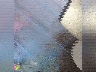 【江苏】实拍男子用开水虐狗 狗狗被烫疼得连连哀嚎