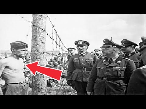 When Himmler Attempted to Establish Peace with the West | WW2 Documentary