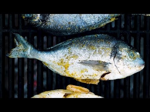 The Ultimate Campfire Grilled Fish Recipe | Asmr Cooking